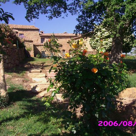 Villa Fonte All'Oppio Con Area Piscina Recintata Pienza Exterior foto