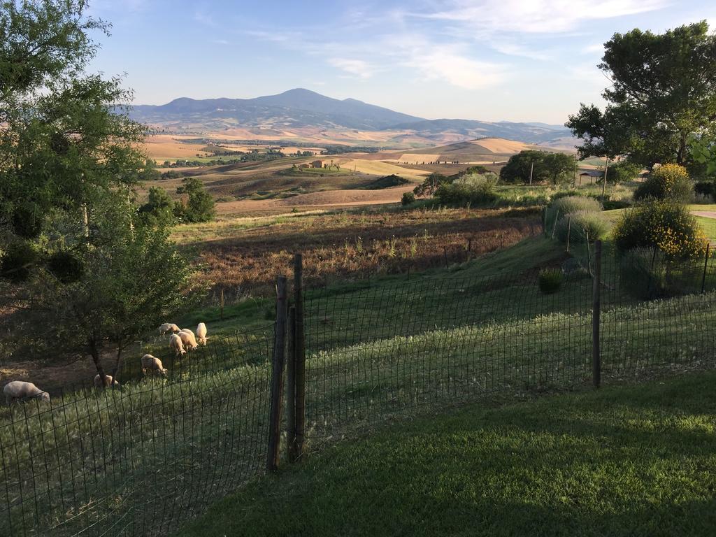 Villa Fonte All'Oppio Con Area Piscina Recintata Pienza Exterior foto