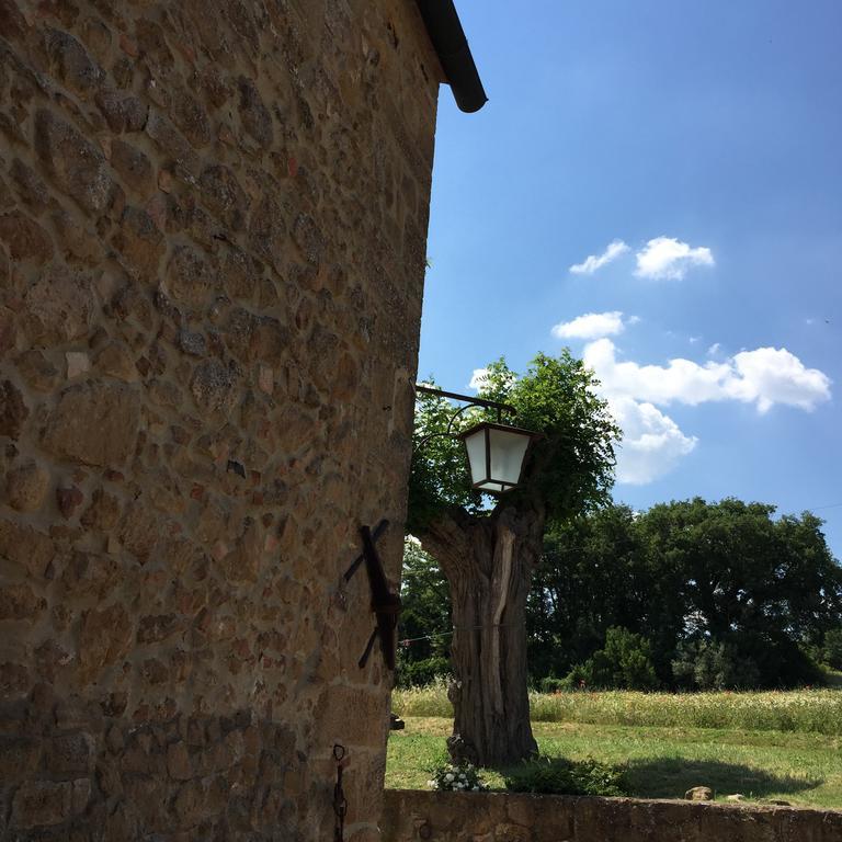 Villa Fonte All'Oppio Con Area Piscina Recintata Pienza Exterior foto